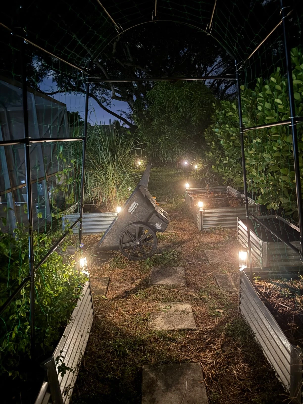 bitpott Solar Pathway Lights: Radiant Durability and Elegant Design